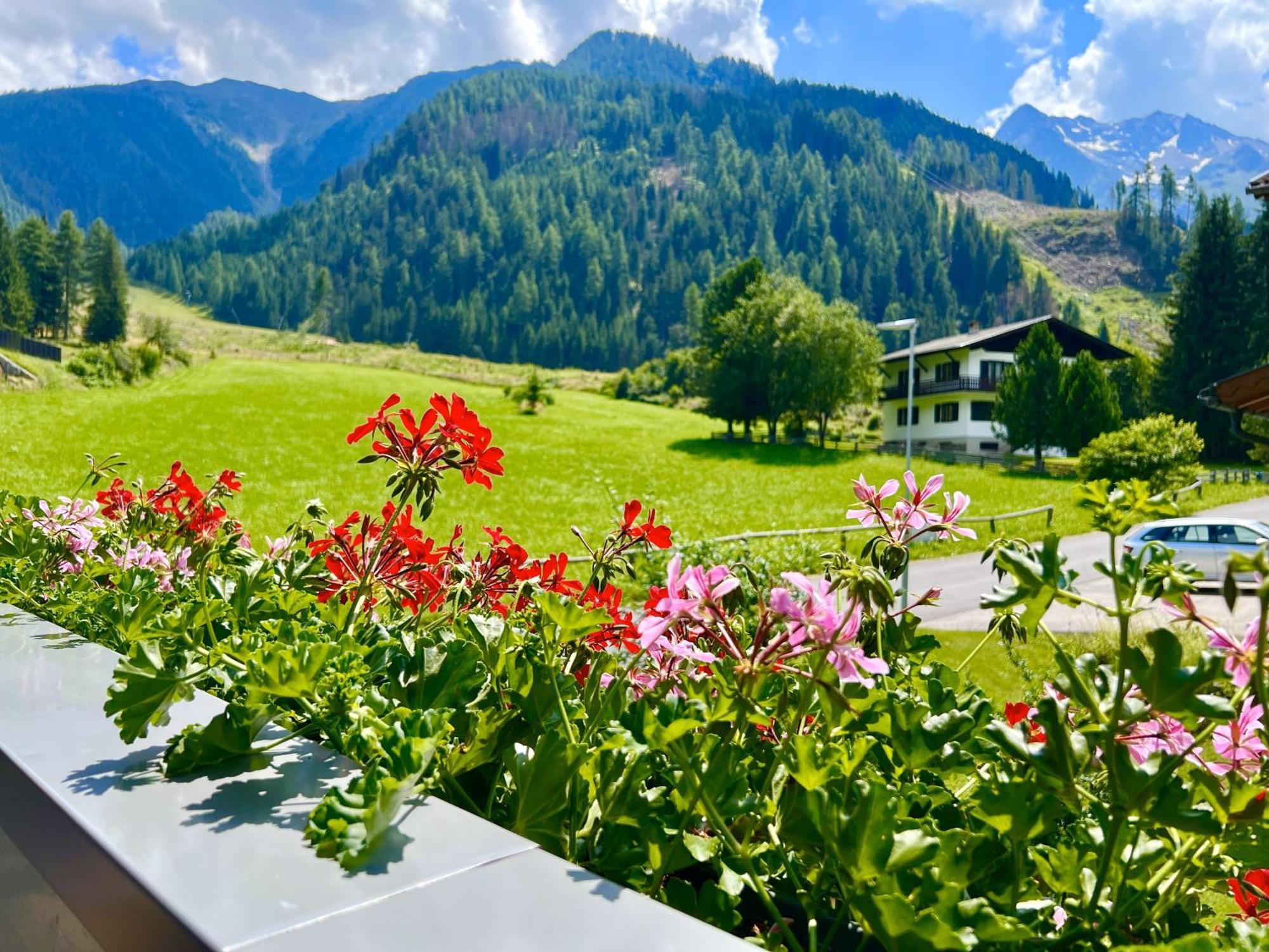 Hotel Garni Burger سانكت جاكوب ان ديفر المظهر الخارجي الصورة